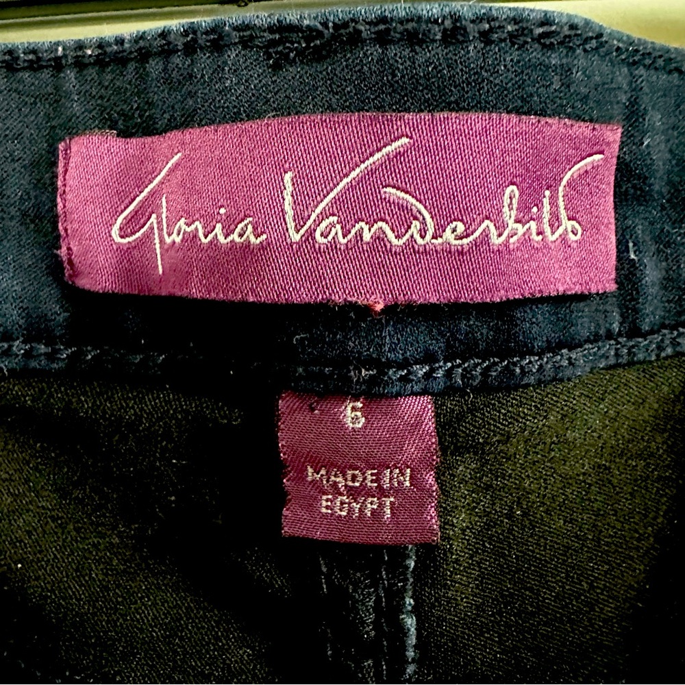 Gloria Vanderbilt Vickie dress stretch pants.